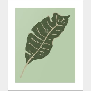 Palm leaf sticker Posters and Art